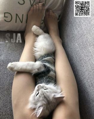 老公每天晚上都出去玩两_BD全集免费观看
